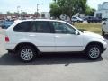 Alpine White - X5 3.0i Photo No. 6