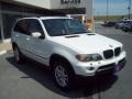 Alpine White - X5 3.0i Photo No. 7
