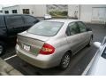 2001 Silver Strata Metallic Toyota Prius Hybrid  photo #2