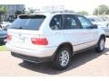 2004 Titanium Silver Metallic BMW X5 3.0i  photo #8