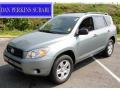 Everglade Metallic - RAV4 4WD Photo No. 1