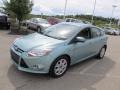 Frosted Glass Metallic - Focus SE 5-Door Photo No. 6