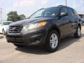 2010 Black Forest Green Metallic Hyundai Santa Fe GLS  photo #1