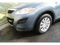 2010 Dolphin Gray Mica Mazda CX-9 Touring AWD  photo #29