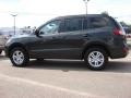 2010 Black Forest Green Metallic Hyundai Santa Fe GLS  photo #3