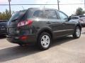 2010 Black Forest Green Metallic Hyundai Santa Fe GLS  photo #5