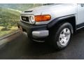 Titanium Metallic - FJ Cruiser 4WD Photo No. 23