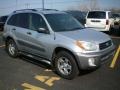 Titanium Metallic - RAV4 4WD Photo No. 10