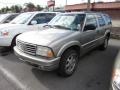 Pewter Metallic - Bravada AWD Photo No. 3