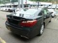 Smoky Granite Mica - LS 460 AWD Photo No. 4