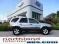 2005 Silver Metallic Ford Escape XLT V6  photo #1