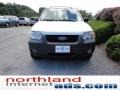 2005 Silver Metallic Ford Escape XLT V6  photo #3