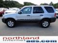 2005 Silver Metallic Ford Escape XLT V6  photo #5