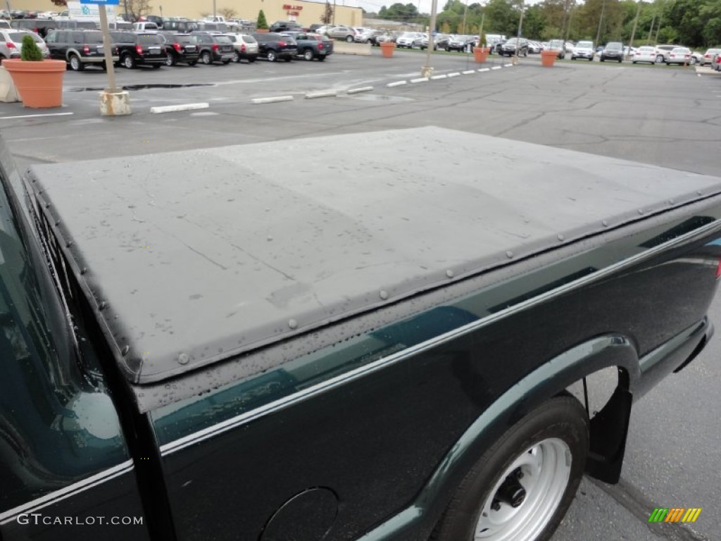 2003 S10 Regular Cab - Dark Green Metallic / Graphite photo #10