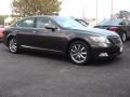 2009 Truffle Brown Mica Lexus LS 460 AWD  photo #2