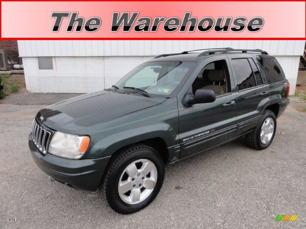 2001 Grand Cherokee Limited 4x4 - Shale Green Metallic / Sandstone photo #1