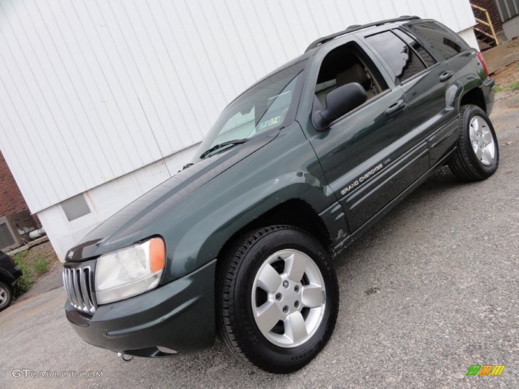 2001 Grand Cherokee Limited 4x4 - Shale Green Metallic / Sandstone photo #2