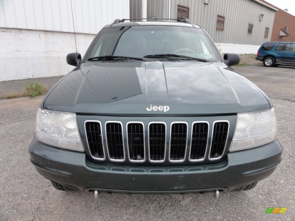 2001 Grand Cherokee Limited 4x4 - Shale Green Metallic / Sandstone photo #3