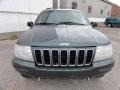 2001 Shale Green Metallic Jeep Grand Cherokee Limited 4x4  photo #3