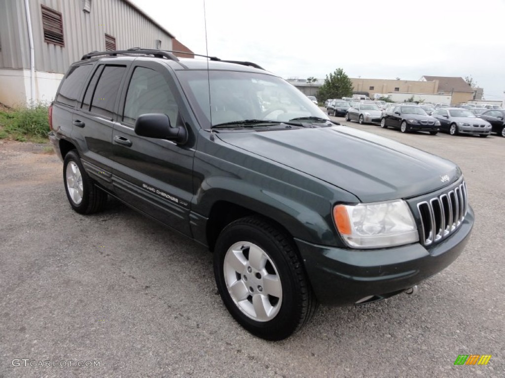 2001 Grand Cherokee Limited 4x4 - Shale Green Metallic / Sandstone photo #4