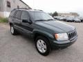 2001 Shale Green Metallic Jeep Grand Cherokee Limited 4x4  photo #4