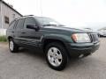 2001 Shale Green Metallic Jeep Grand Cherokee Limited 4x4  photo #5