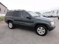 2001 Shale Green Metallic Jeep Grand Cherokee Limited 4x4  photo #6