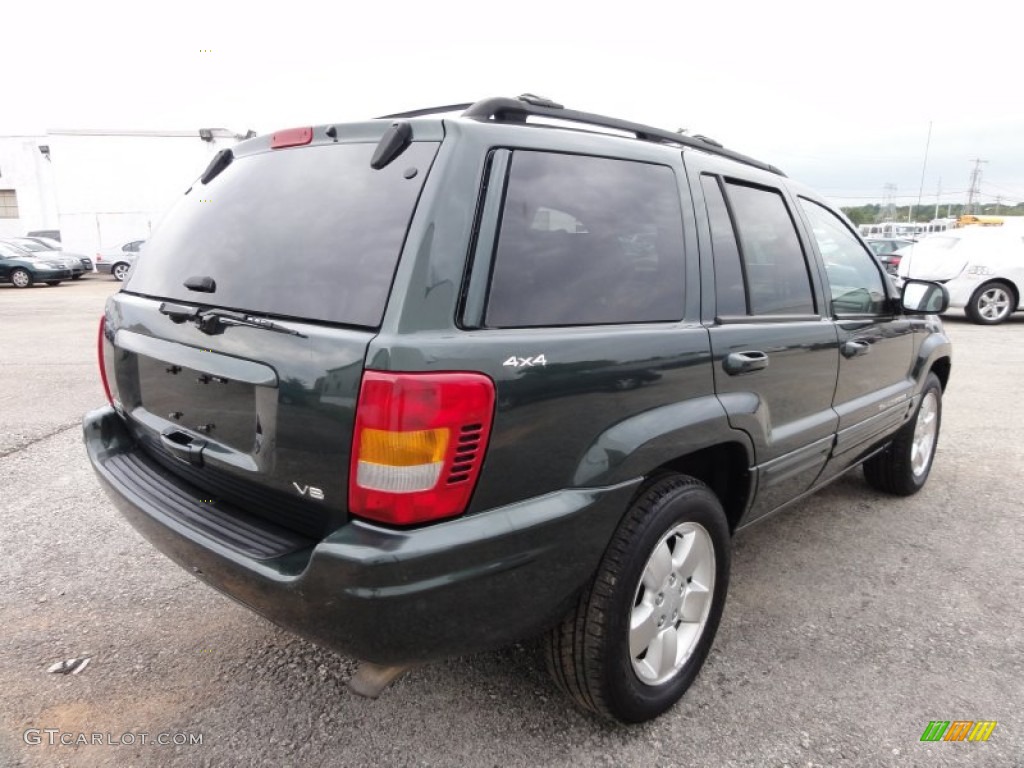 2001 Grand Cherokee Limited 4x4 - Shale Green Metallic / Sandstone photo #8