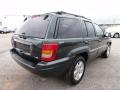 2001 Shale Green Metallic Jeep Grand Cherokee Limited 4x4  photo #8