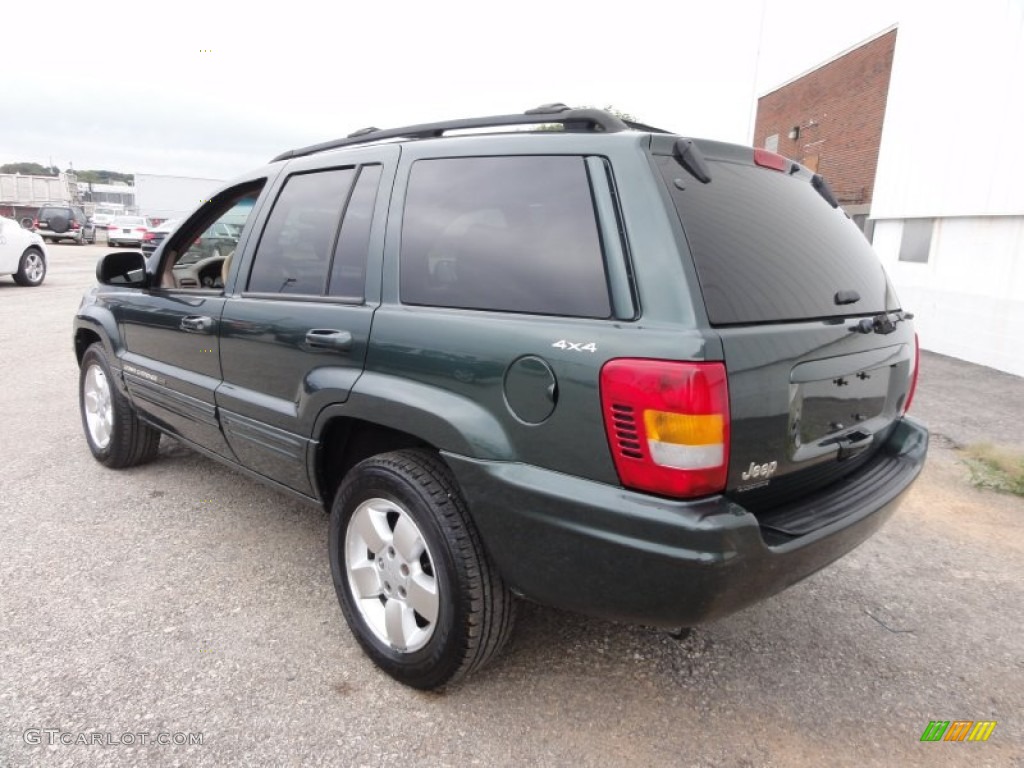 2001 Grand Cherokee Limited 4x4 - Shale Green Metallic / Sandstone photo #10