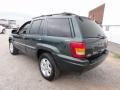 2001 Shale Green Metallic Jeep Grand Cherokee Limited 4x4  photo #10