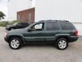 2001 Shale Green Metallic Jeep Grand Cherokee Limited 4x4  photo #11