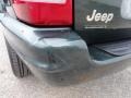 2001 Shale Green Metallic Jeep Grand Cherokee Limited 4x4  photo #31