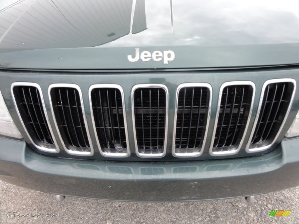 2001 Grand Cherokee Limited 4x4 - Shale Green Metallic / Sandstone photo #39