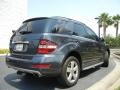 Steel Grey Metallic - ML 350 Photo No. 6