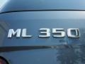 Steel Grey Metallic - ML 350 Photo No. 9