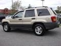 Champagne Pearl - Grand Cherokee Laredo Photo No. 6