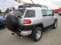 Titanium Metallic - FJ Cruiser 4WD Photo No. 5