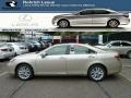 Satin Cashmere Metallic - ES 350 Photo No. 1
