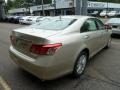 Satin Cashmere Metallic - ES 350 Photo No. 4