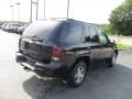 Black - TrailBlazer LS 4x4 Photo No. 10