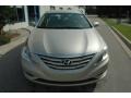 Camel Pearl - Sonata GLS Photo No. 2