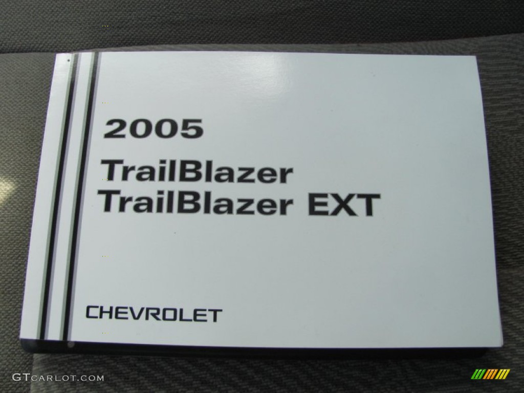 2005 TrailBlazer EXT LS 4x4 - Silverstone Metallic / Light Gray photo #4