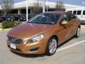 Vibrant Copper Metallic - S60 T5 Photo No. 3