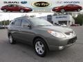 Natural Khaki Metallic - Veracruz Limited AWD Photo No. 1