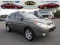 2008 Natural Khaki Metallic Hyundai Veracruz Limited AWD  photo #1