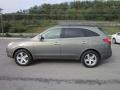 2008 Natural Khaki Metallic Hyundai Veracruz Limited AWD  photo #4