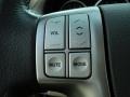 Beige Controls Photo for 2010 Hyundai Veracruz #54286979