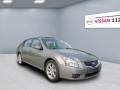 Pebble Beach Metallic - Maxima 3.5 SE Photo No. 4