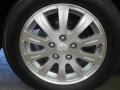 Apple Red Pearl - Elantra GLS Photo No. 25
